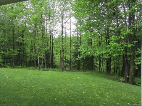 4480 Keller Rd, Delevan, NY 14042 photo 24