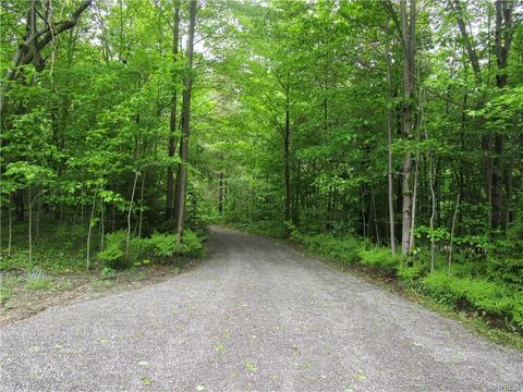 4480 Keller Rd, Delevan, NY 14042 photo 30