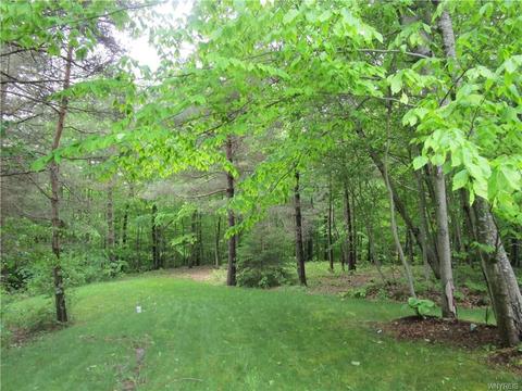 4480 Keller Rd, Delevan, NY 14042 photo 29
