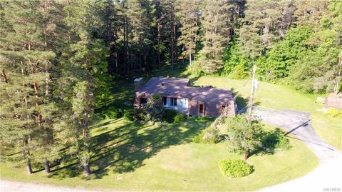 7 Maiden Ln, Java, NY 14113 photo 47