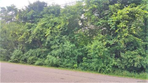 0 Wisconsin Rd, Evans, NY 14006