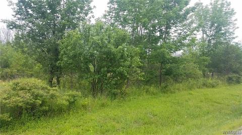Vl Upper Mountain Road, Lewiston, NY 14092