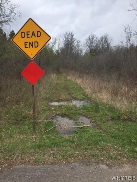 V/l 5th Street E, Grand Island, NY 14072