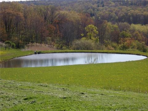 10676 Fairview Rd, Centerville, NY 14060 photo 1