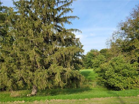 6237 Logan Rd, Mount Morris, NY 14510 photo 38