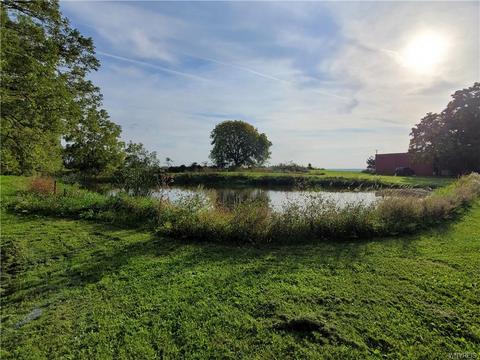 6237 Logan Rd, Mount Morris, NY 14510 photo 27
