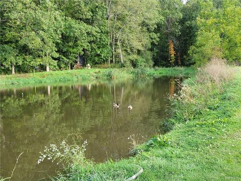 6237 Logan Rd, Mount Morris, NY 14510 photo 21