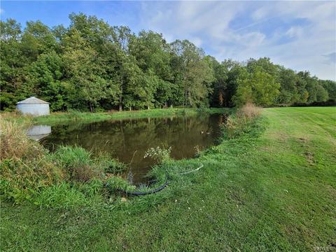 6237 Logan Rd, Mount Morris, NY 14510 photo 23