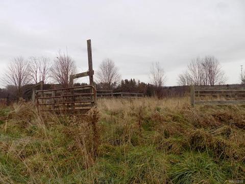 10759 Olean Rd, Chaffee, NY 14030 photo 44