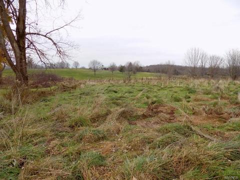 10759 Olean Rd, Chaffee, NY 14030 photo 43