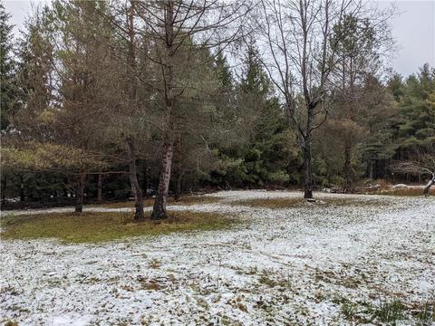 9027 Glinderman Rd, Caneadea, NY 14717 photo 26