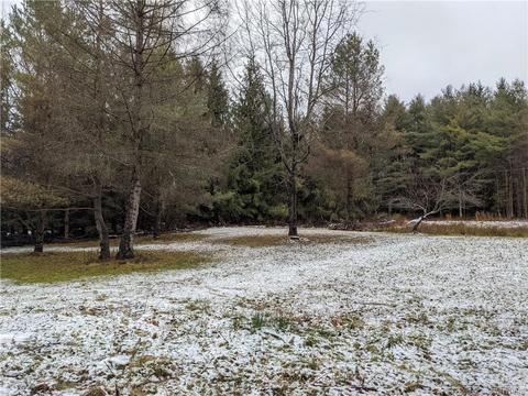9027 Glinderman Rd, Caneadea, NY 14717 photo 27