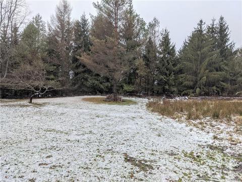 9027 Glinderman Rd, Caneadea, NY 14717 photo 17