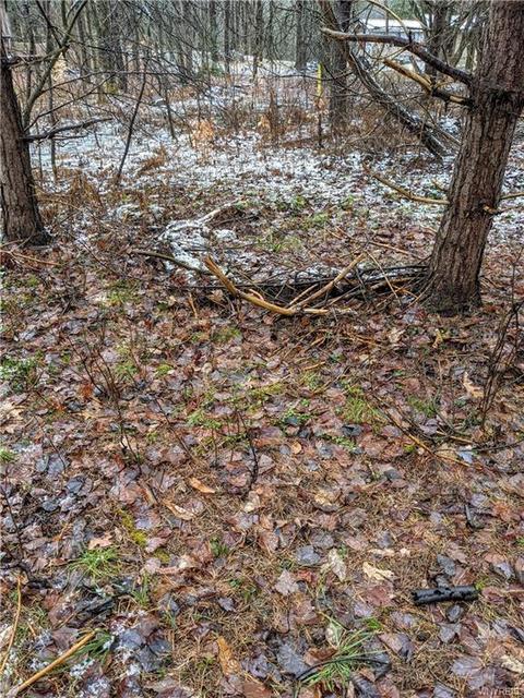 9027 Glinderman Rd, Caneadea, NY 14717 photo 25