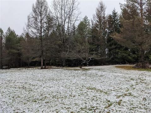 9027 Glinderman Rd, Caneadea, NY 14717 photo 20