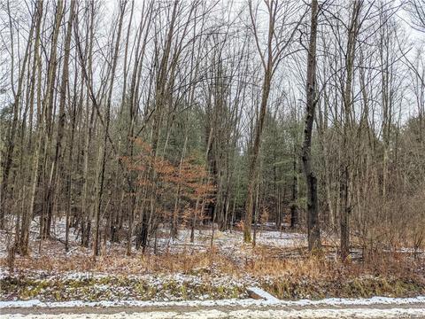 9027 Glinderman Rd, Caneadea, NY 14717 photo 29