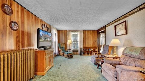 99 Park St, Arcade, NY 14009 photo 23