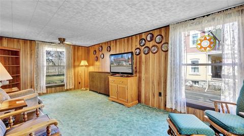 99 Park St, Arcade, NY 14009 photo 24