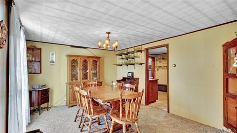 99 Park St, Arcade, NY 14009 photo 26
