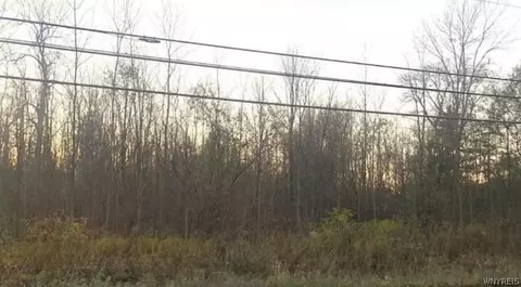 8100 Goodrich Rd, Clarence, NY 14032