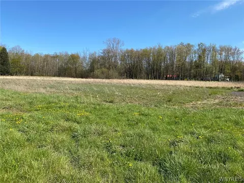 Vl Koepsel, Newstead, NY 14001
