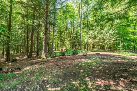 9546 Phillips Rd, Holland, NY 14080 photo 48