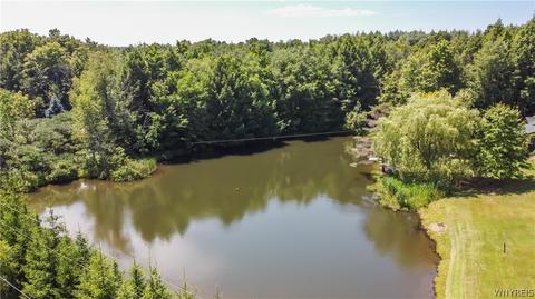 9546 Phillips Rd, Holland, NY 14080 photo 37
