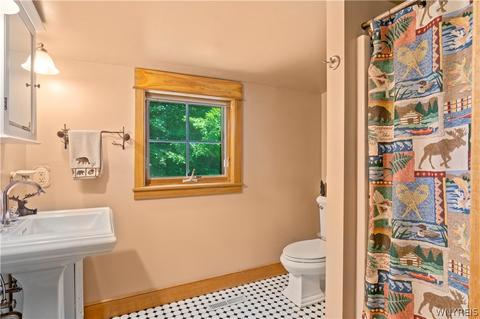 9546 Phillips Rd, Holland, NY 14080 photo 28