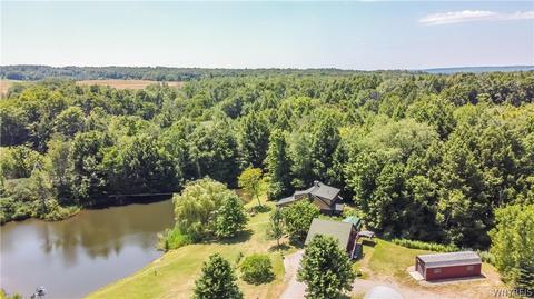 9546 Phillips Rd, Holland, NY 14080 photo 49