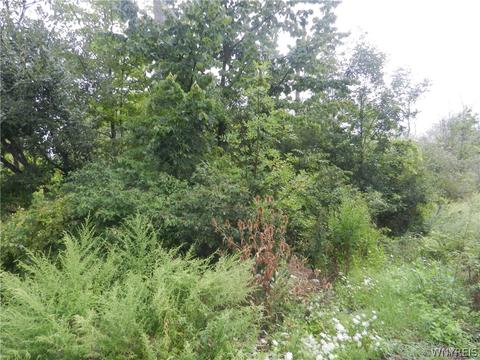 0 Scott St, Evans, NY 14006 photo 10