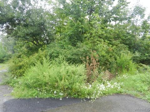 0 Scott St, Evans, NY 14006
