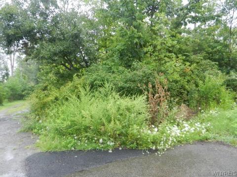 0 Scott St, Evans, NY 14006 photo 2