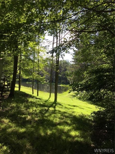 0 East Hl, Lyndon, NY 14737