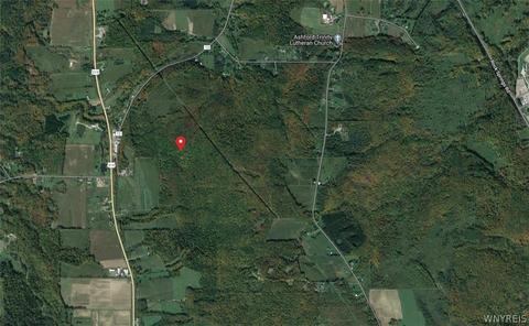 V/l Edies Road, Ashford, NY 14141