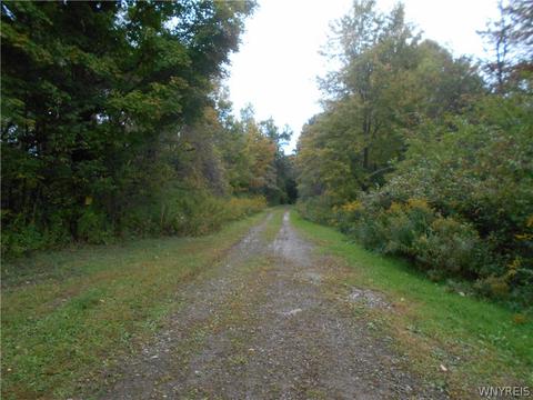 3381 Neamon Dr, Yorkshire, NY 14042
