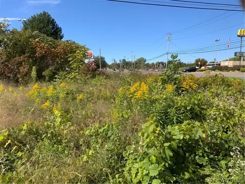 11216 Maple Ridge Rd, Shelby, NY 14103