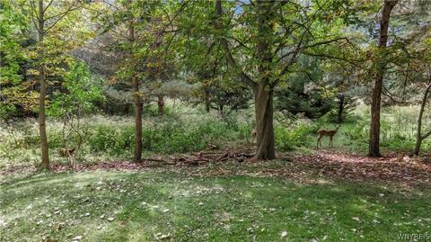 Vl Assumption Avenue, Lancaster, NY 14086