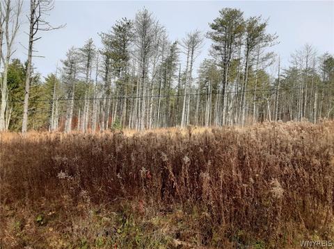 Lot A Crane Road, Ellicottville, NY 14731