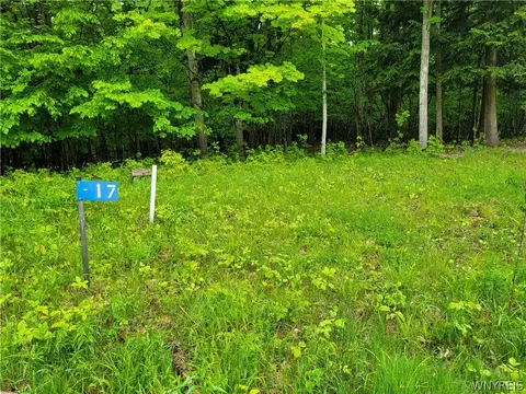 0 Co Road 24 #LOT 17, Grove, NY 14884