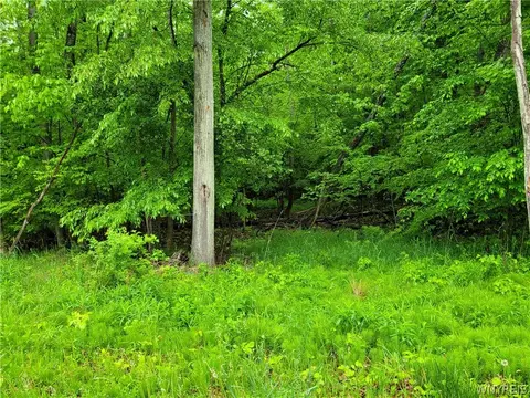 0 Co Road 24 #LOT 16, Grove, NY 14884