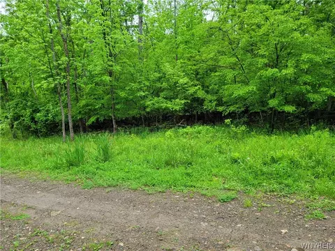 0 Co Road 24 #LOT 15, Grove, NY 14884