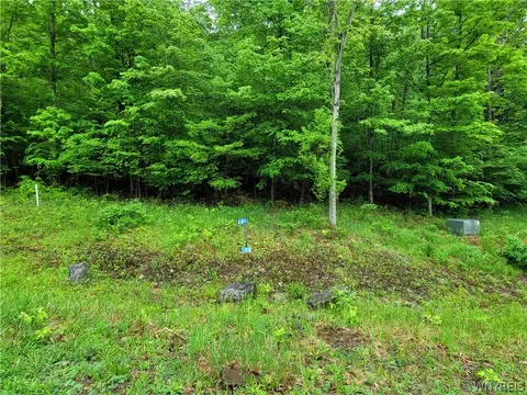 0 Co Road 24 #LOT 12, Grove, NY 14884