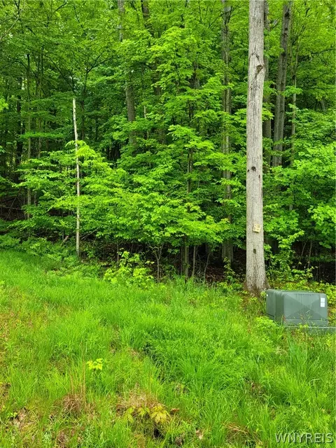 0 Co Road 24 #LOT 10, Grove, NY 14884