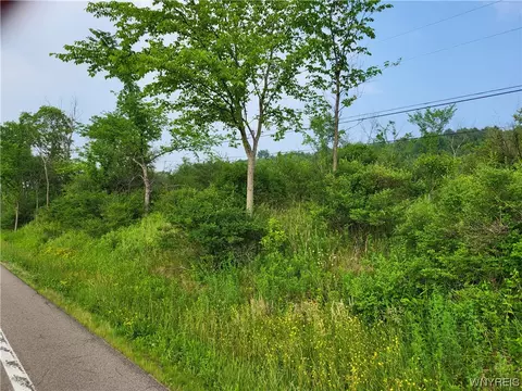 Lot A Nys Route 242, Machias, NY 14101