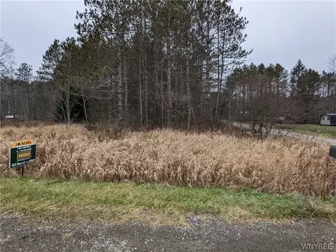 Vl County Road 49, Caneadea, NY 14717