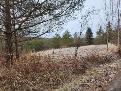 10586 Springville Boston Rd, Concord, NY 14141