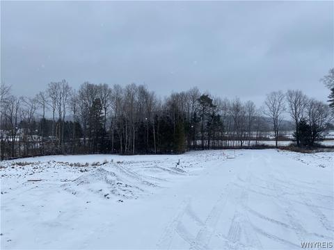Lot 1 Tanglewood Development, Allegany, NY 14706