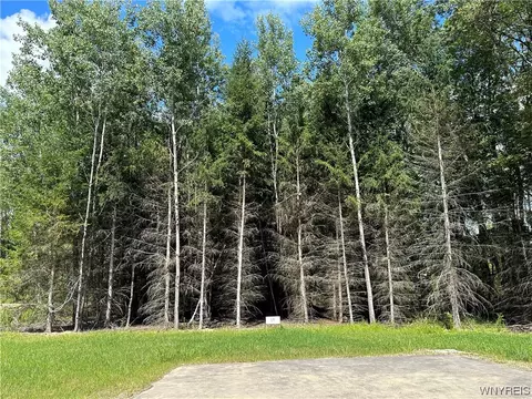 lot17 Tanglewood Development, Allegany, NY 14706
