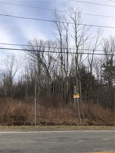 V/l Heltz Road, Hamburg, NY 14085
