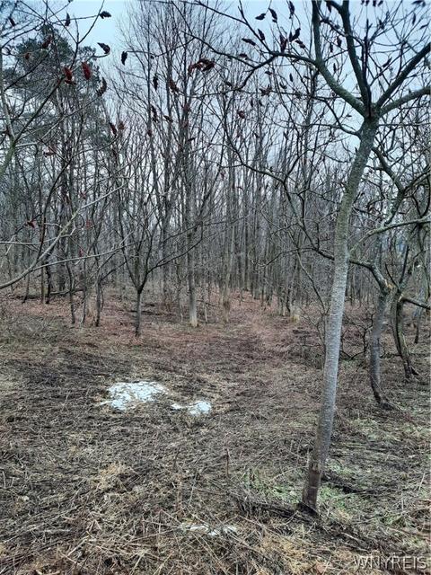 11299 Wyandale Rd, Concord, NY 14141